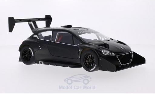 Diecast model cars Peugeot 208 T16 1/18 AUTOart T16 matt-black Pikes Peak 2013 Plain Body Version Peugeot 208 T16 1/18 AUTOart T16 matt-black Pikes Peak 2013 Plain Body Version diecast model cars