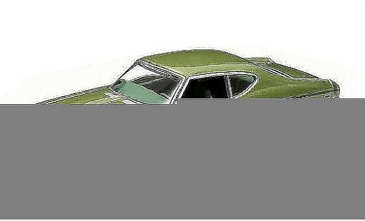 Chevrolet Chevelle tuning 1/64 Greenlight Copo green 1969 diecast model cars