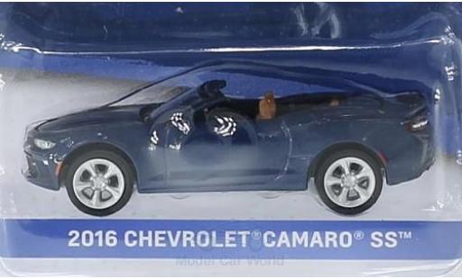 Diecast model cars Chevrolet Camaro 1/64 Greenlight SS metallic blue 2016 General Motors Series 1 ohne Vitrine Chevrolet Camaro 1/64 Greenlight SS metallic blue 2016 General Motors Series 1 ohne Vitrine diecast model cars