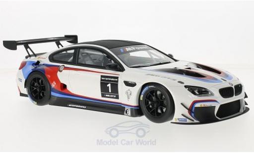 Bmw M6 1/18 Kyosho GT3 white/black Sportstrophy 2016 2016 The Next 100 Years ohne Vitrine diecast model cars