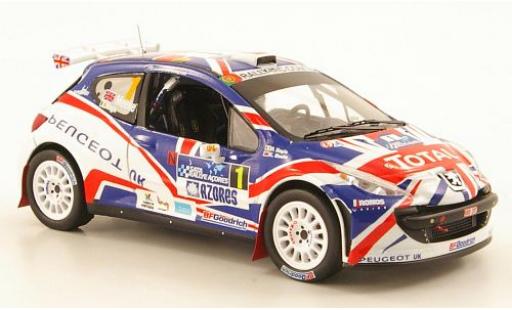 Peugeot 207 1/43 IXO S2000 No.1 Total 2010 K.Meeke diecast model cars