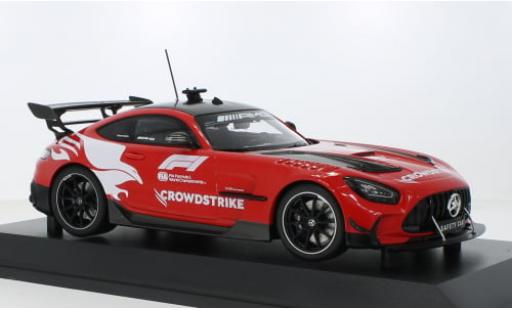 Mercedes AMG GT 1/18 Minichamps Black Series Formel 1 2023 1:18 diecast model cars